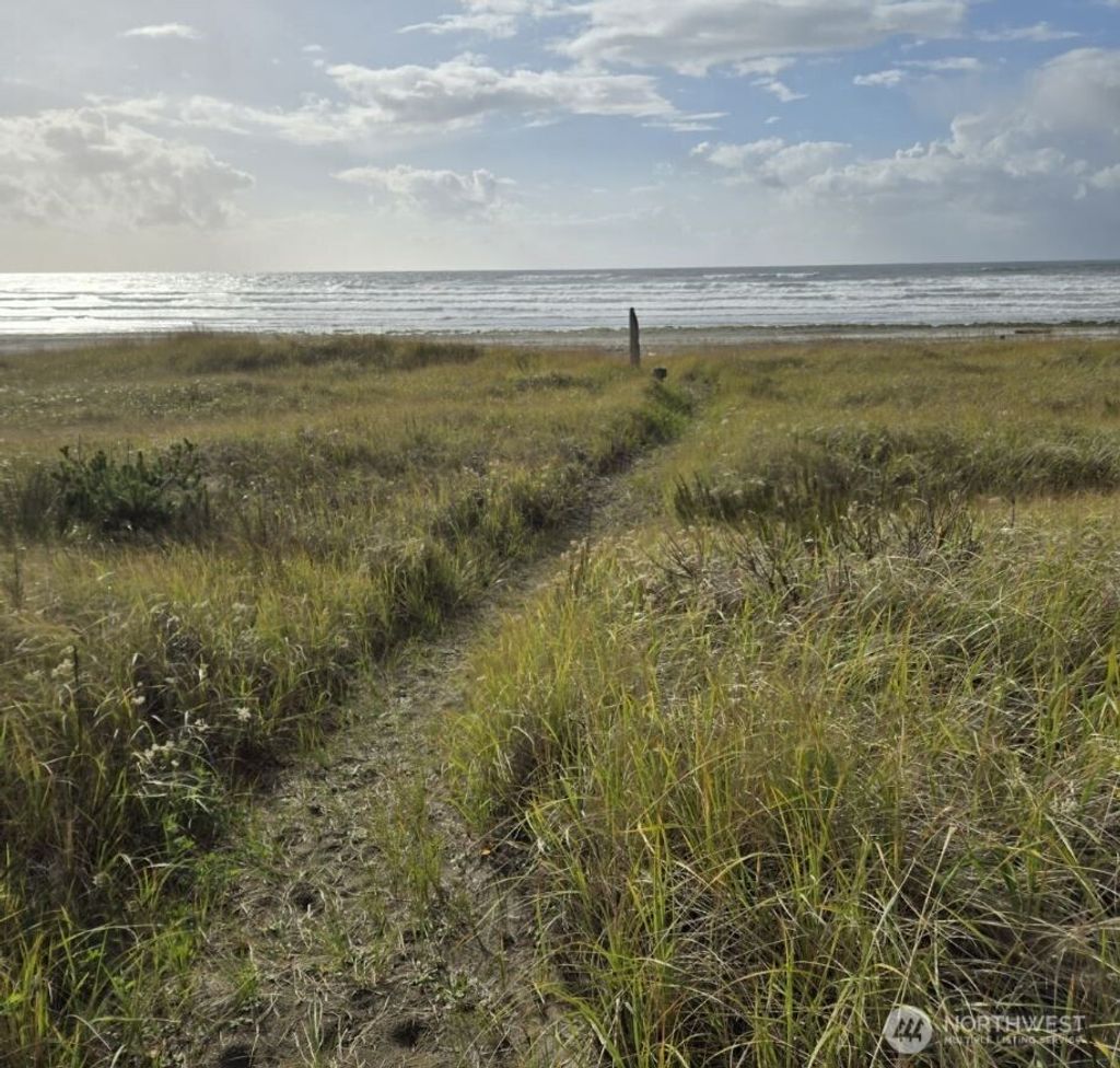 Photo of 4721 State Route 105 S, Grayland, WA 98547 (MLS # 2505862)