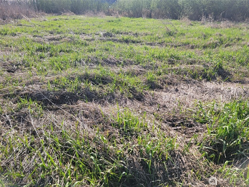 Photo of 1416 W Main Street, Auburn, WA 98001 (MLS # 2493968)