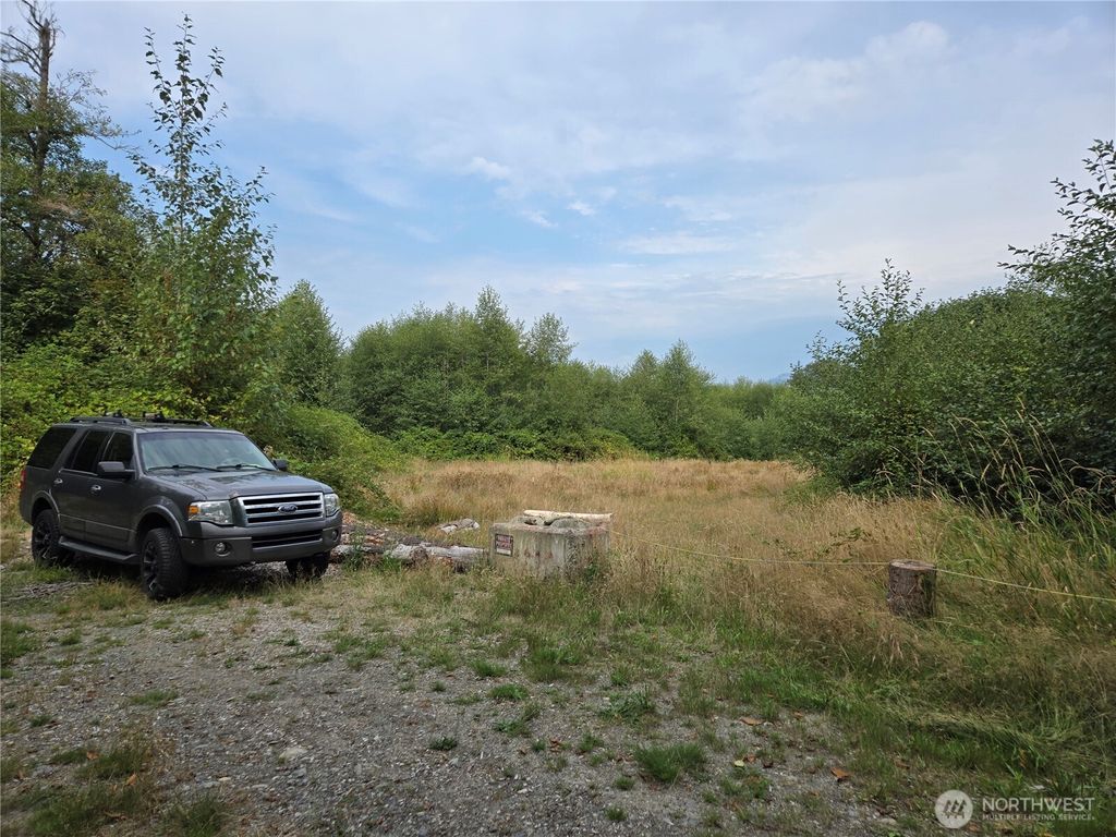 Photo of 145 XX 312 Avenue NE, Duvall, WA 98019 (MLS # 2428290)