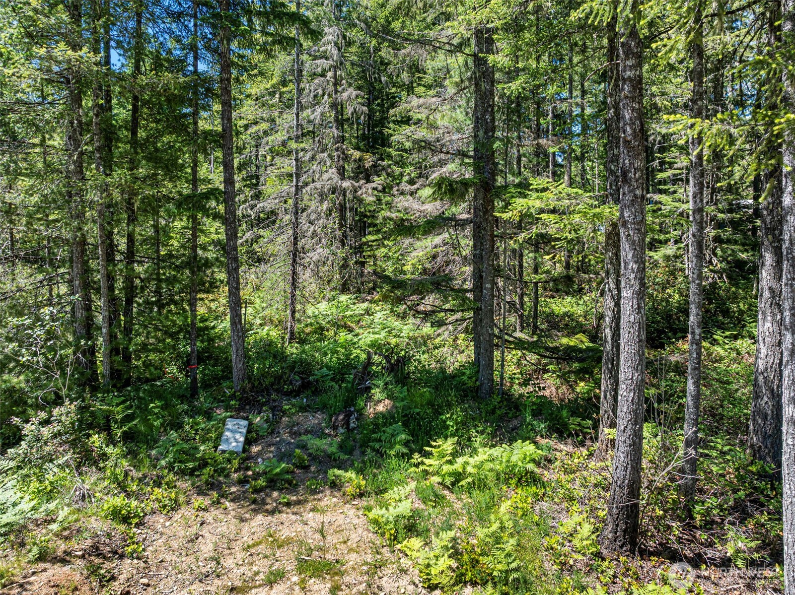 41 NE Creekview Place