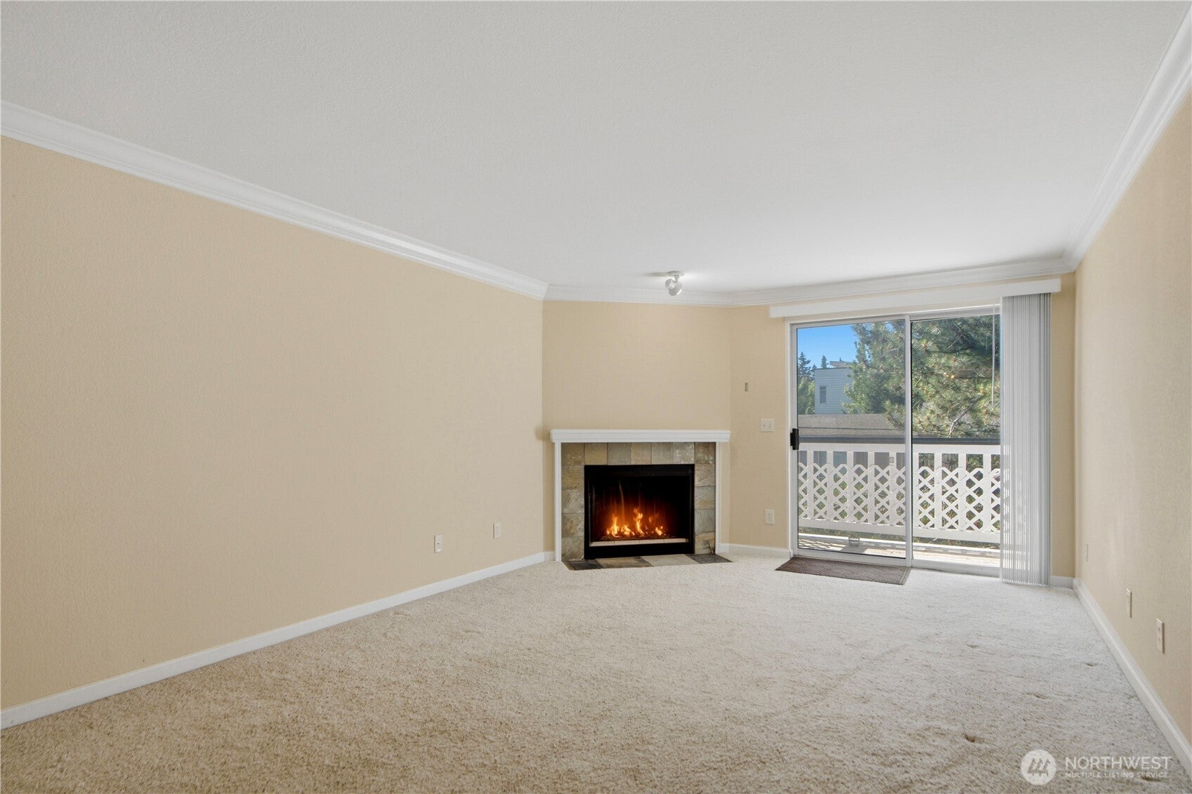 1003 156th Avenue NE 308