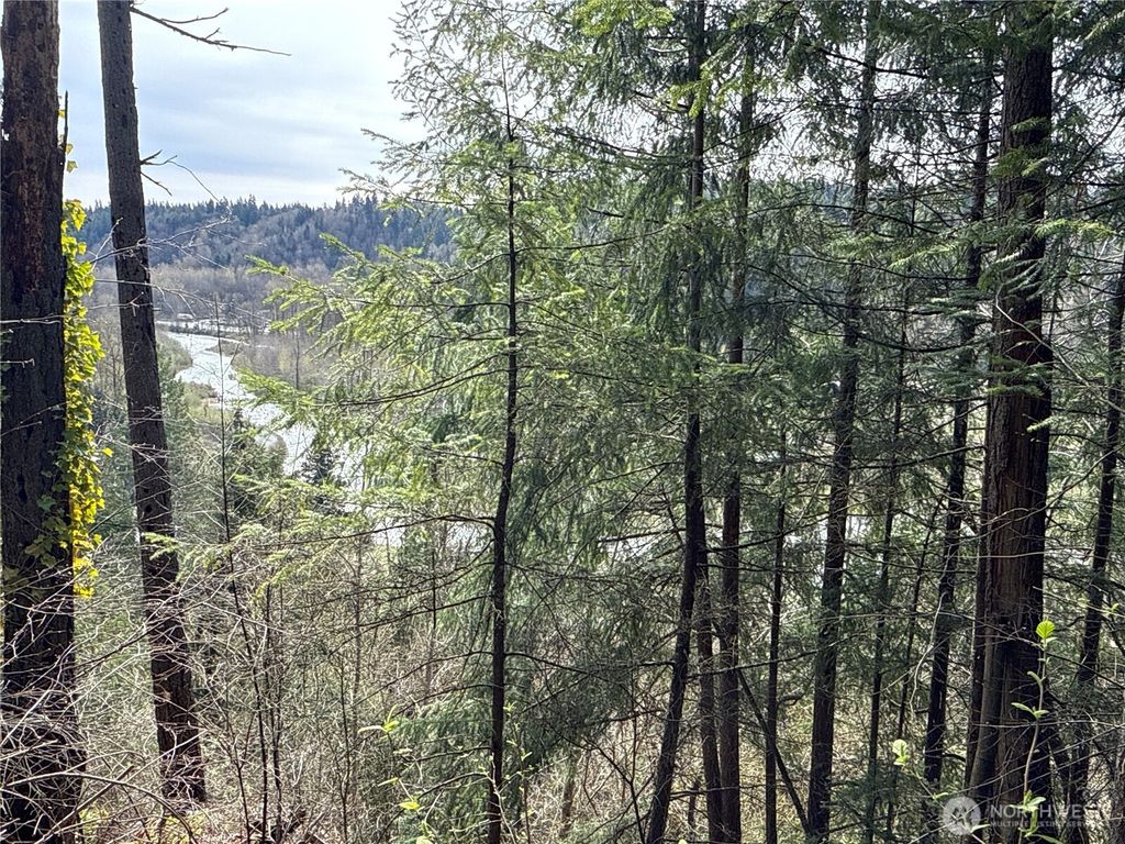 Photo of 149 XX 175th Avenue SE, Renton, WA 98059 (MLS # 2351435)