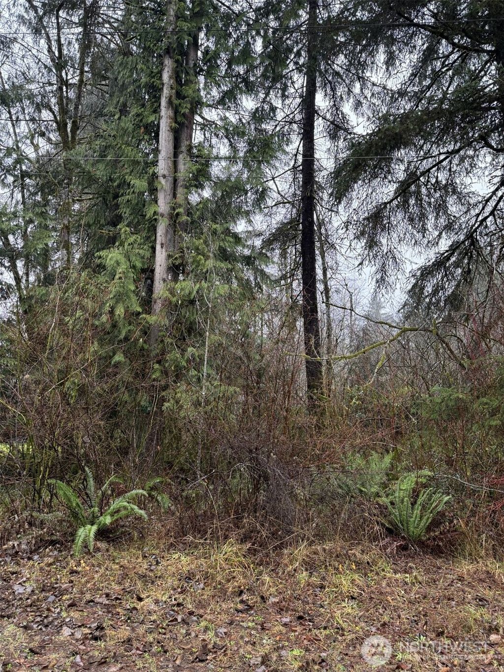 Photo of 0 No Address, Elma, WA 98541 (MLS # 2483005)