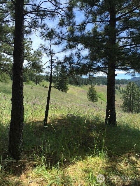 0 bare land