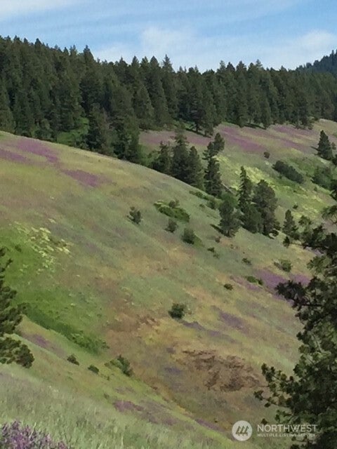 0 bare land