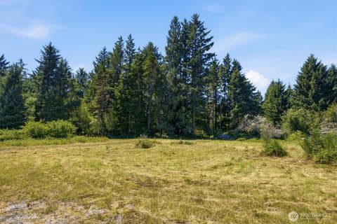Photo of 9905 Sandridge Road, Long Beach, WA 98631 (MLS # 2564798)