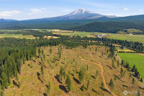 Photo of 0 Little Mountain Road, Trout Lake, WA 98650 (MLS # 2572937)