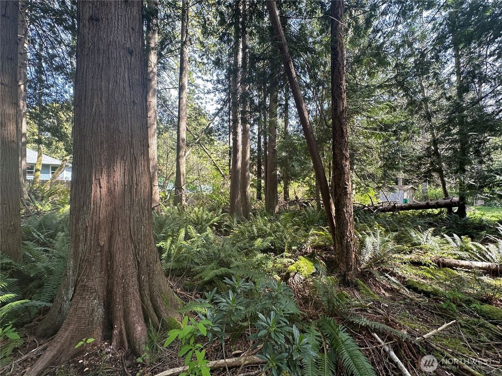 Photo of 0 Lot 9 Tyee Drive, Point Roberts, WA 98281 (MLS # 2510373)