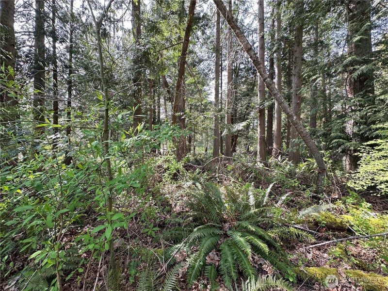 0 Lot 9 Tyee Drive