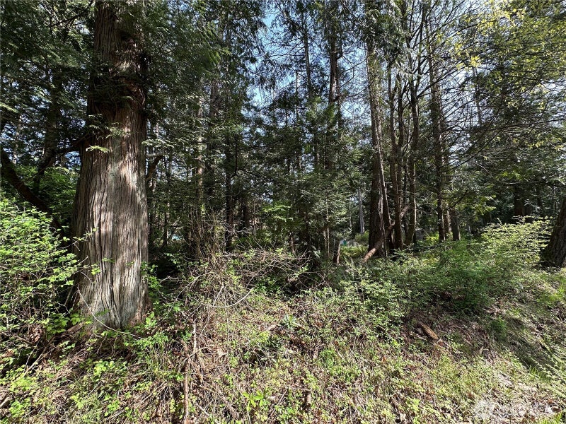 0 Lot 9 Tyee Drive