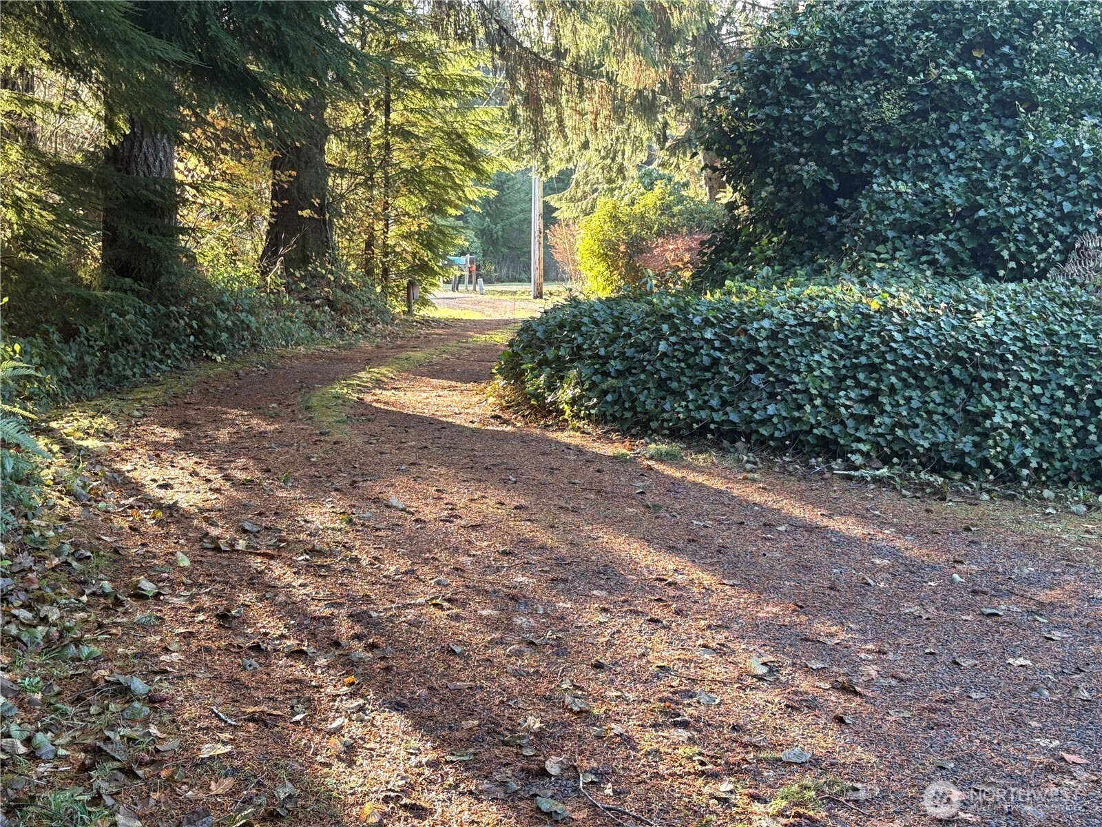 41 Hoquiam Wishkah Road