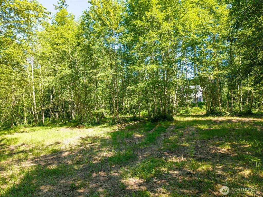 Photo of 0 236th Avenue NE, Woodinville, WA 98077 (MLS # 2392305)