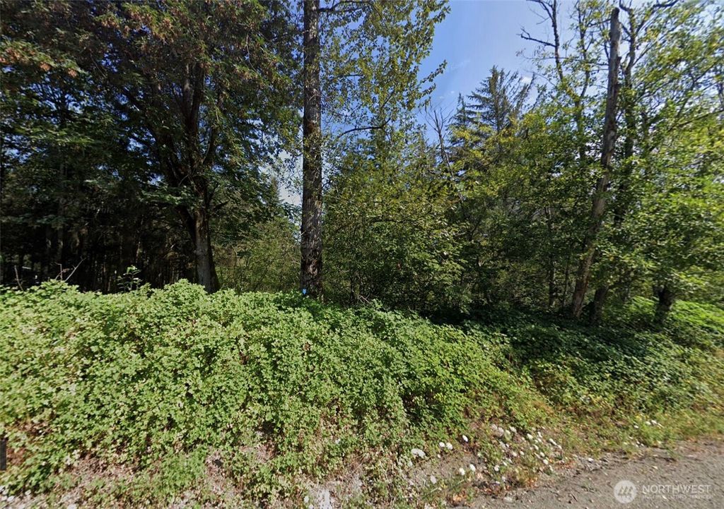 Photo of 31900 Retreat-Kanaskat Road, Ravensdale, WA 98051 (MLS # 2478603)