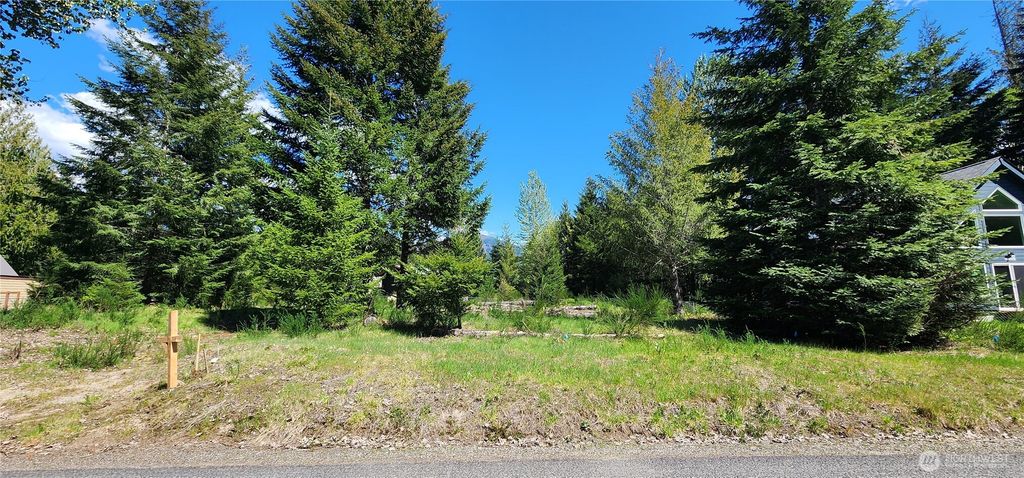 Photo of 113 Cottonwood Lane, Packwood, WA 98361 (MLS # 2514384)