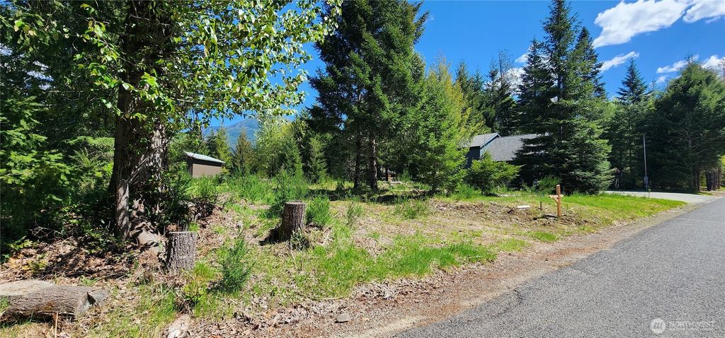 Photo of 113 Cottonwood Lane, Packwood, WA 98361 (MLS # 2514384)