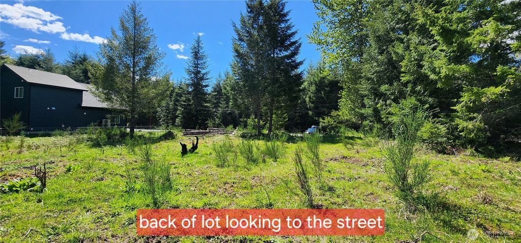 Photo of 113 Cottonwood Lane, Packwood, WA 98361 (MLS # 2514384)
