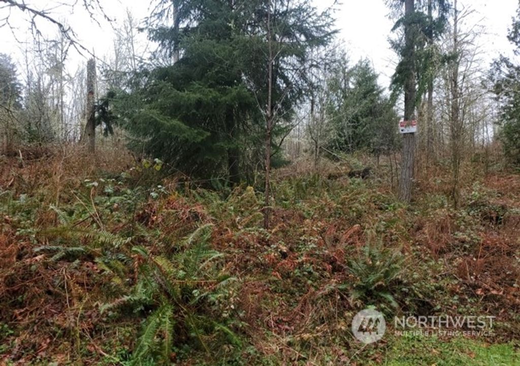 Photo of 0 NE Union Hill Road, Redmond, WA 98053 (MLS # 2005307)