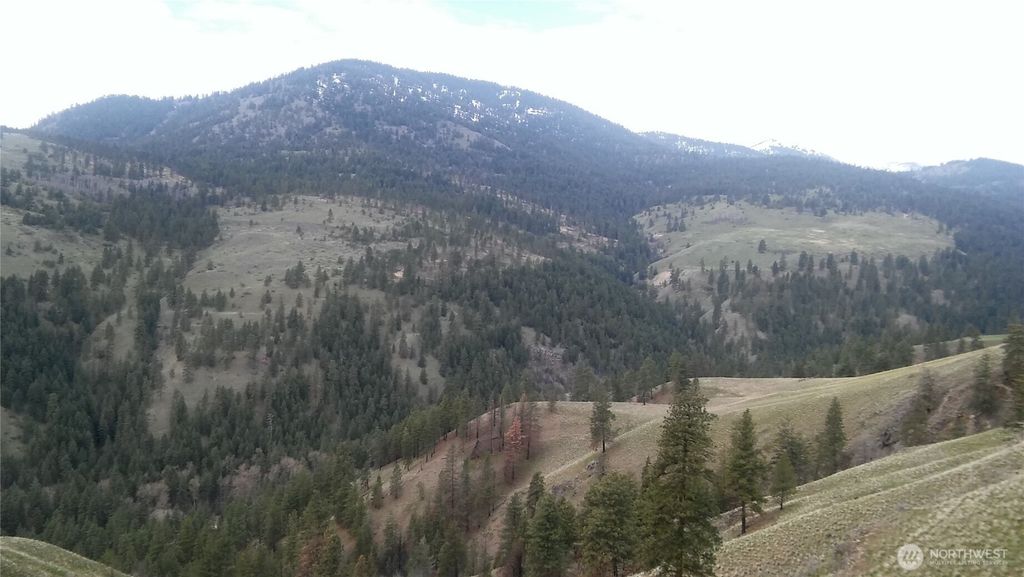 Photo of 0 TBD N Fork Salmon Creek Road, Conconully, WA 98819 (MLS # 2521120)