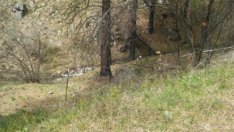 0 TBD N Fork Salmon Creek Road