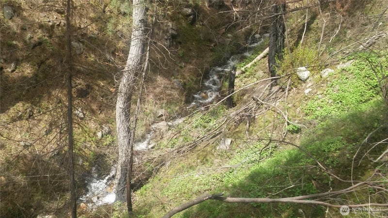 0 TBD N Fork Salmon Creek Road