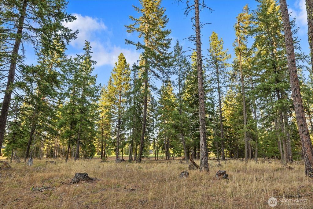 Photo of 32 Domerie Park Loop, Cle Elum, WA 98922 (MLS # 2472435)