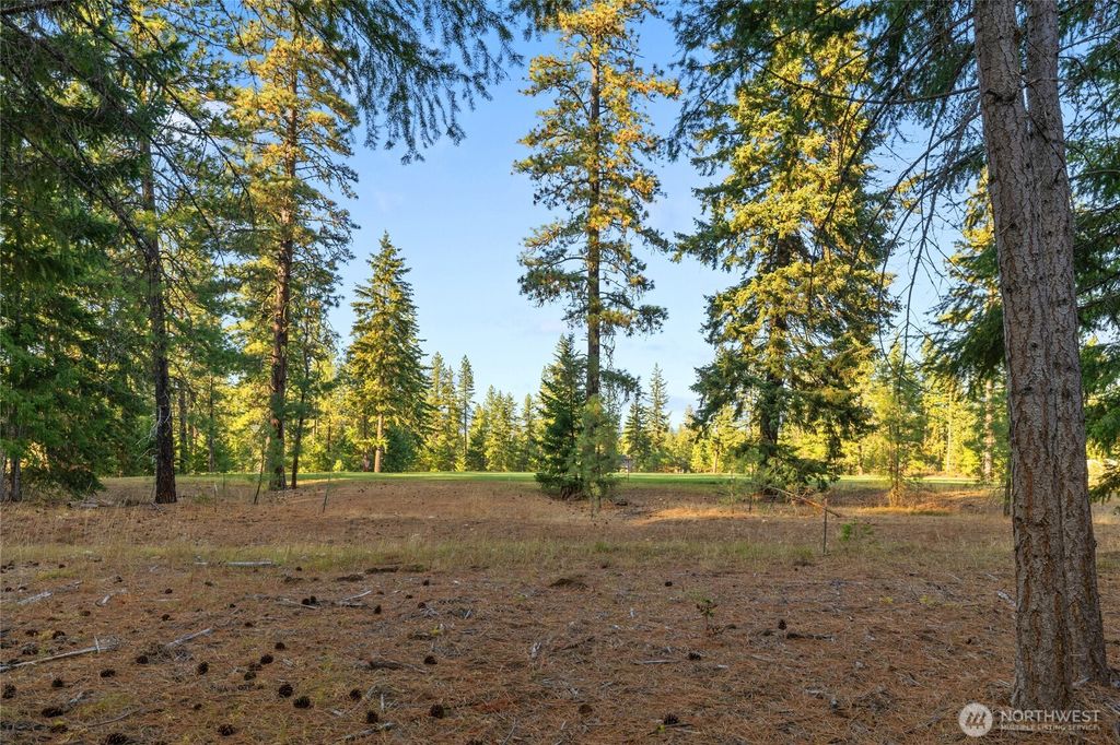 Photo of 32 Domerie Park Loop, Cle Elum, WA 98922 (MLS # 2472435)