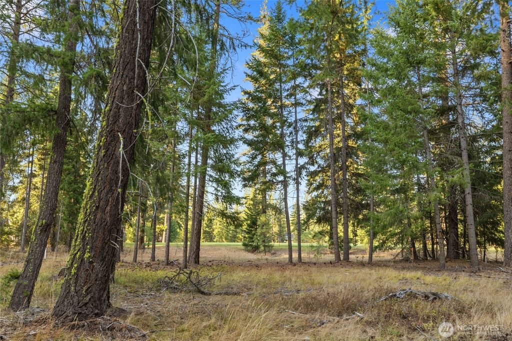 Photo of 32 Domerie Park Loop, Cle Elum, WA 98922 (MLS # 2472435)
