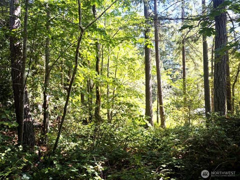 Photo of 0 Oak Street, Quilcene, WA 98376 (MLS # 2573145)
