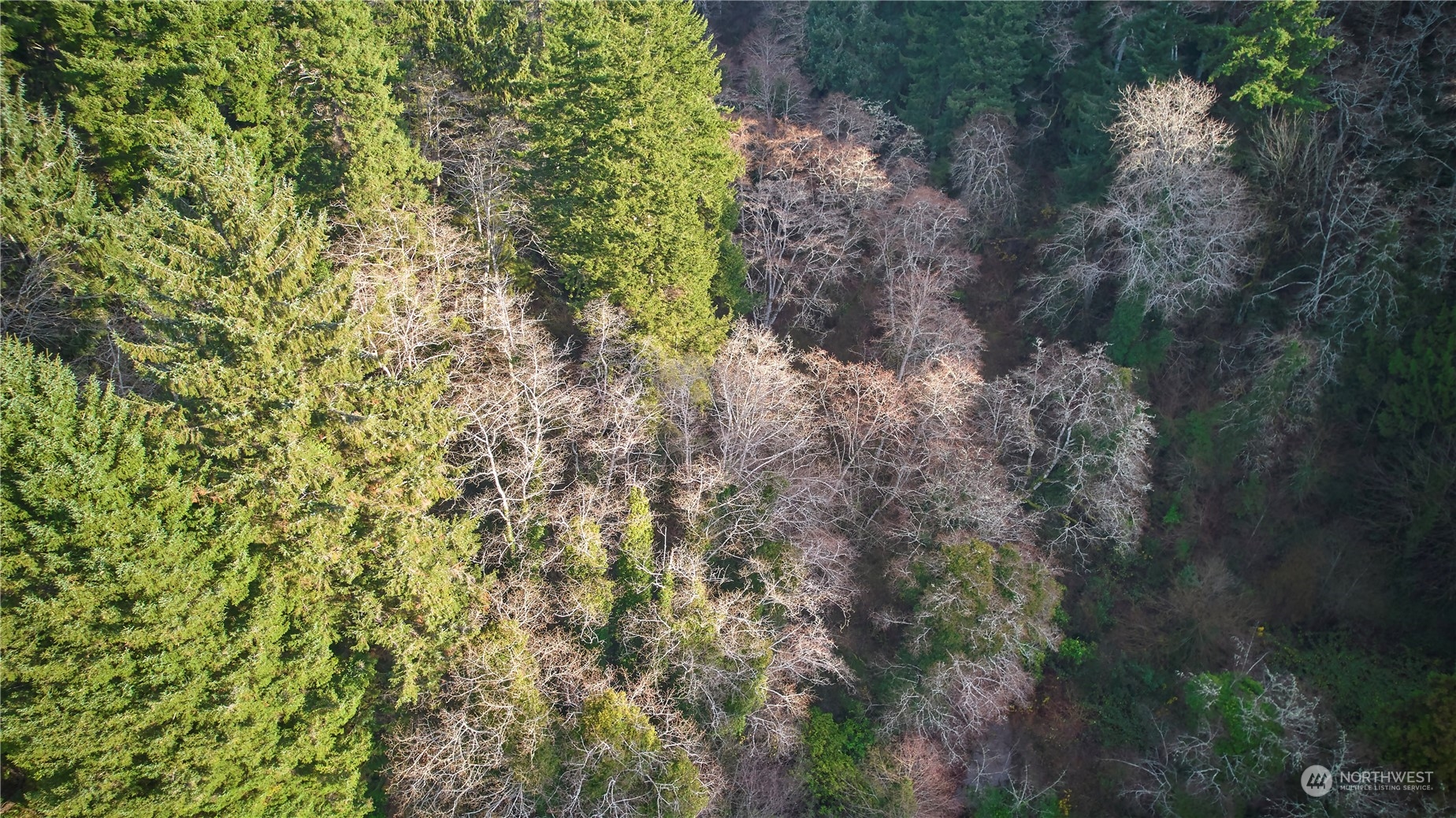 0 Blk 4 Lots 20-22 Pioneer Boulevard