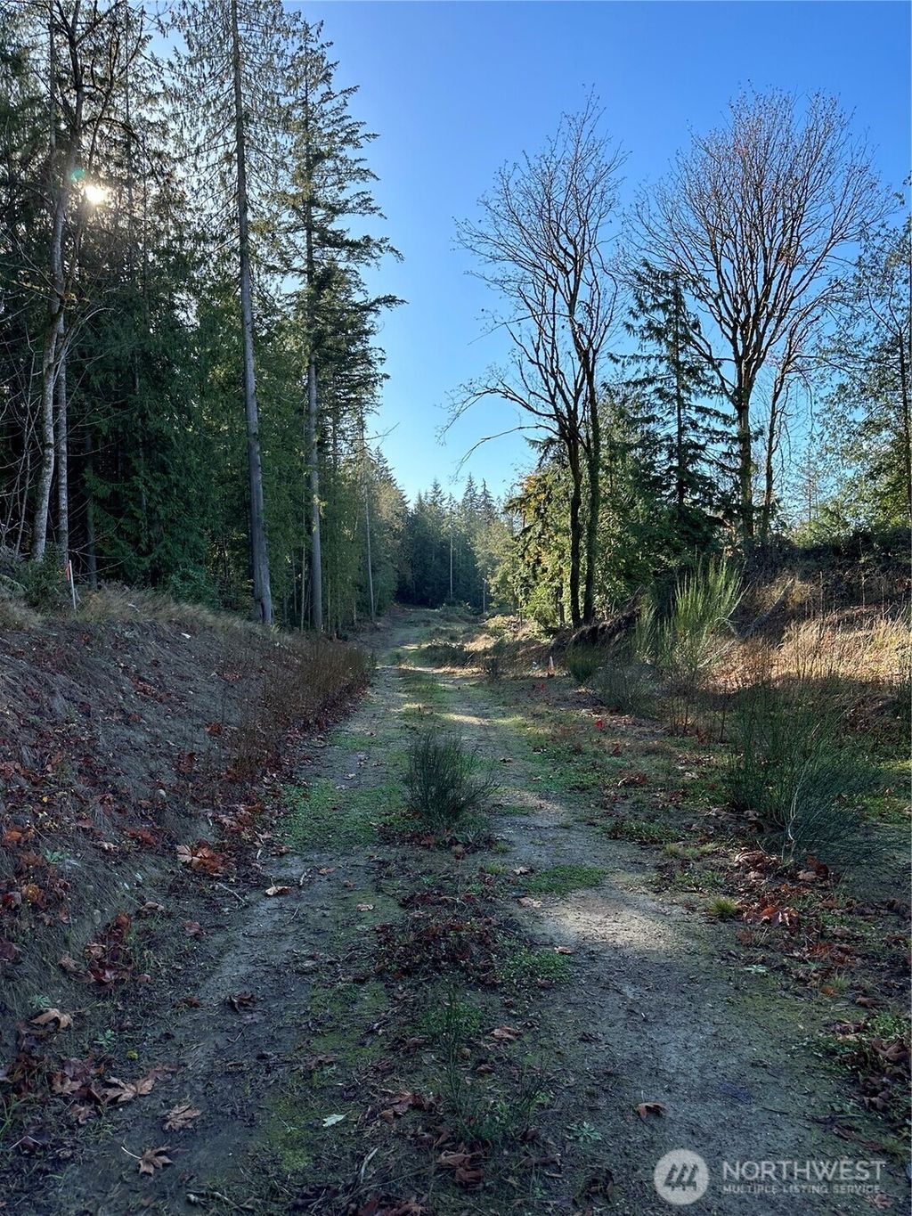 Photo of 6 Lilypad Place E, Port Orchard, WA 98366 (MLS # 2503787)