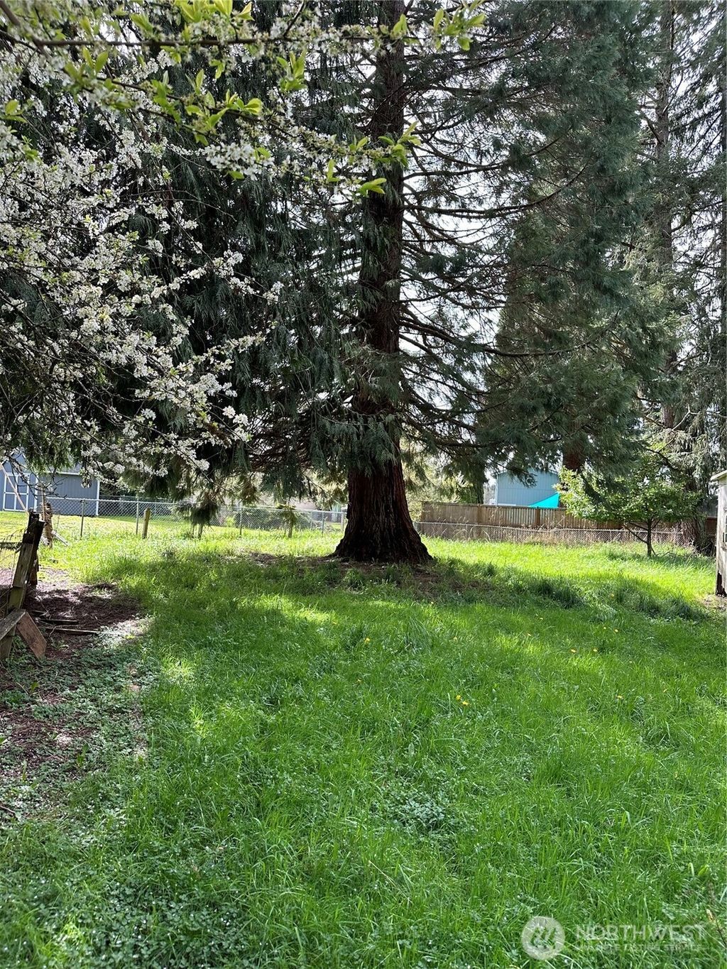 Photo of 2813 Bona Vista Drive SW, Olympia, WA 98512 (MLS # 2498986)