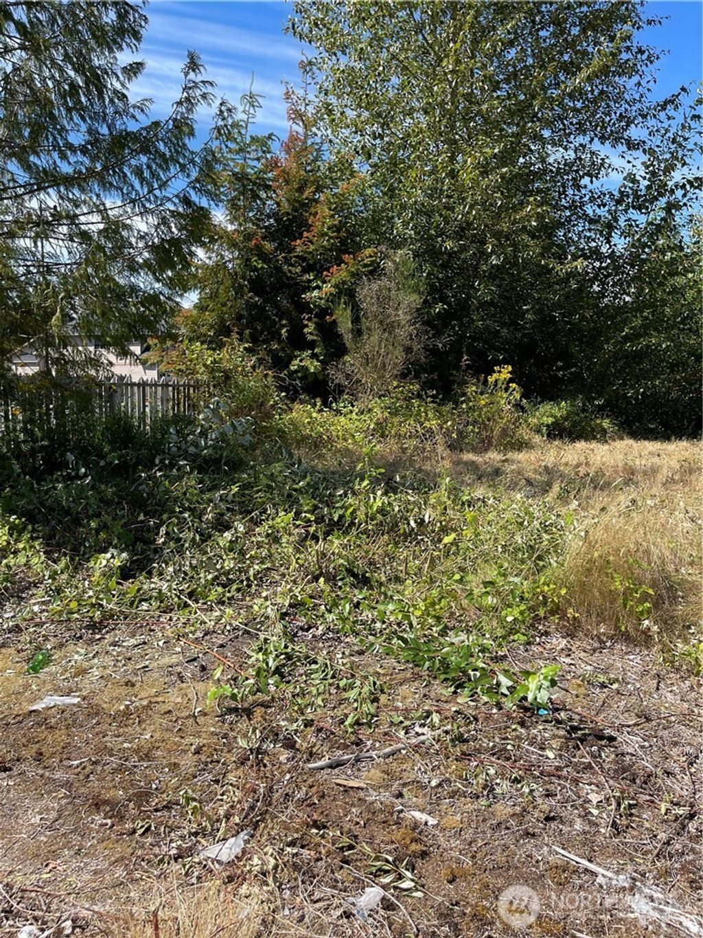 Photo of 1726 Duvall Avenue NE, Renton, WA 98056 (MLS # 2460037)