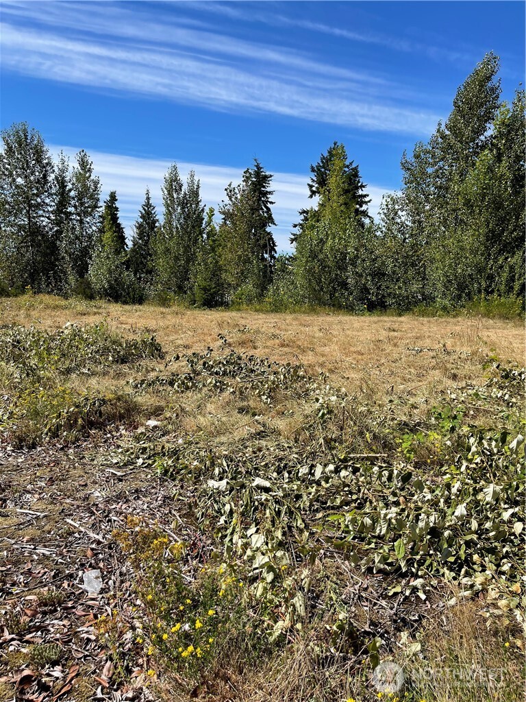 1726 Duvall Avenue NE