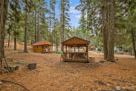 Photo of 1211 Pine Loch Sun Drive, Ronald, WA 98940 (MLS # 2457349)