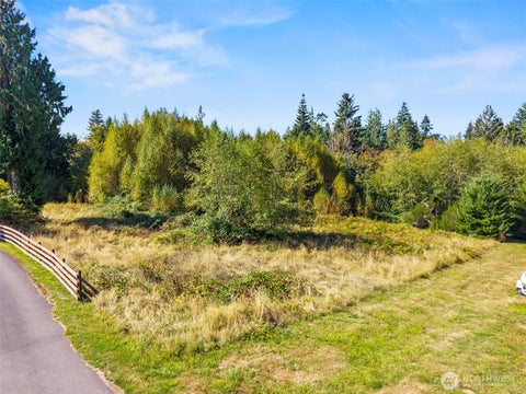 Photo of 8 Cougar Falls Lane, Cathlamet, WA 98612 (MLS # 2590054)