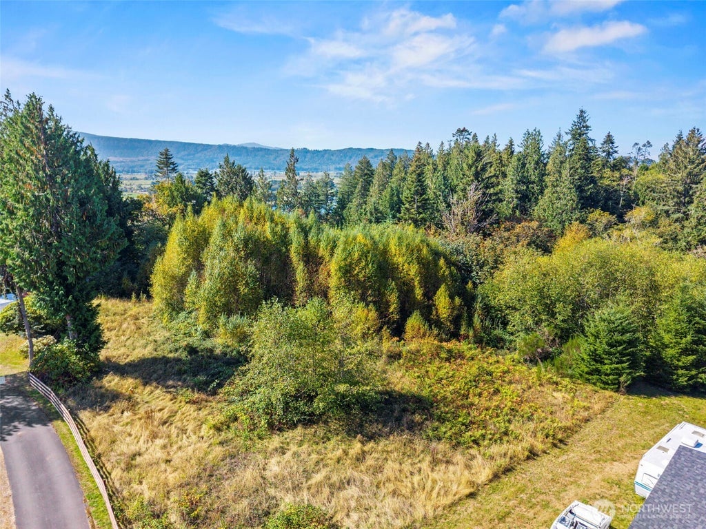 Photo of 8 Cougar Falls Lane, Cathlamet, WA 98612 (MLS # 2590054)