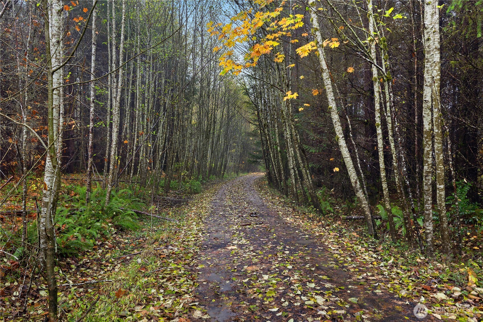 2983 SE Bloomfield Road
