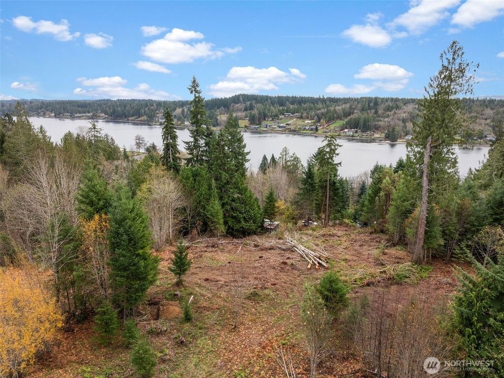 Photo of 0 E Crestview Drive, Shelton, WA 98584 (MLS # 2461248)