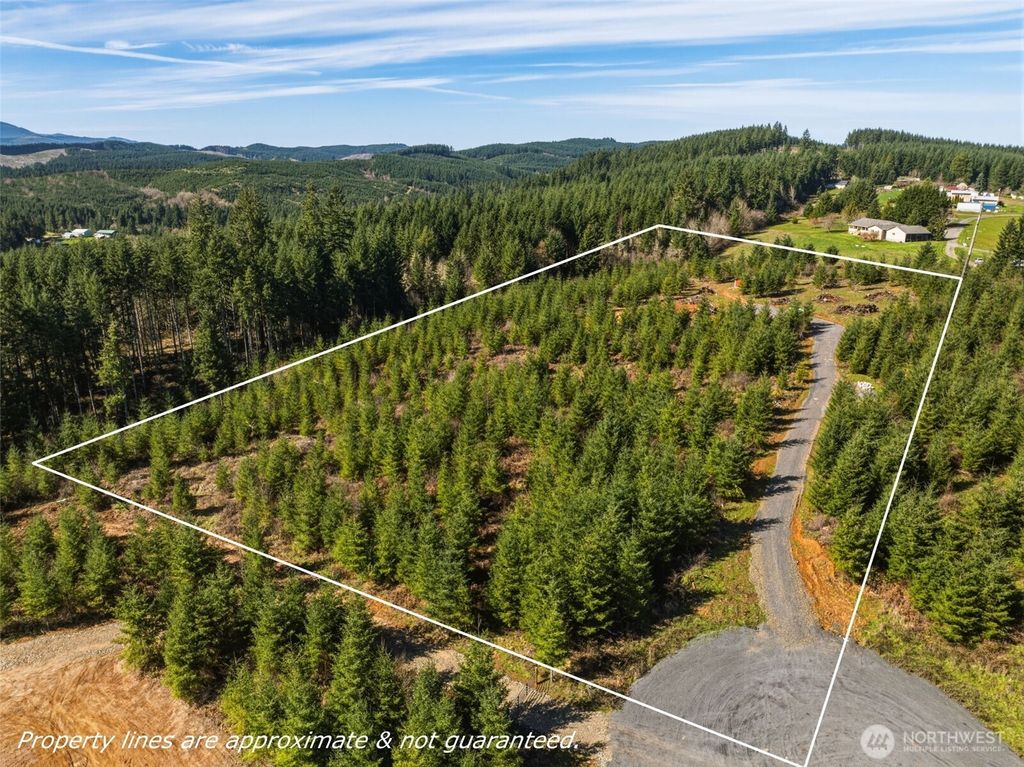 Photo of 128 Brim Ridge Lane Dr, Winlock, WA 98596 (MLS # 2495995)