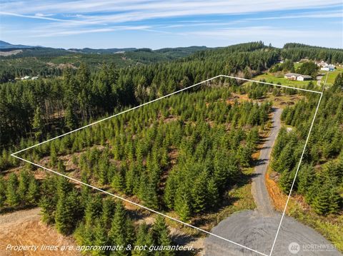 Photo of 128 Brim Ridge Lane Dr, Winlock, WA 98596 (MLS # 2495995)