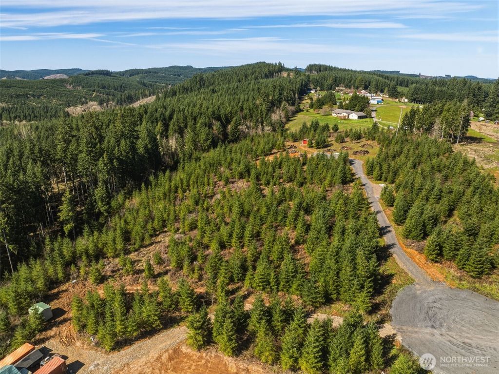 Photo of 128 Brim Ridge Lane Dr, Winlock, WA 98596 (MLS # 2495995)