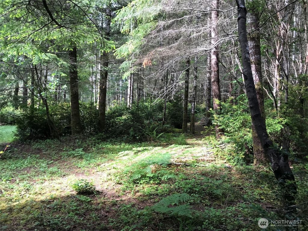 Photo of 323 E Pickering Road, Shelton, WA 98584 (MLS # 2525590)