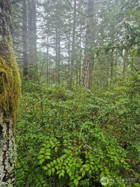 470 E Michelle Drive Union WA 98592