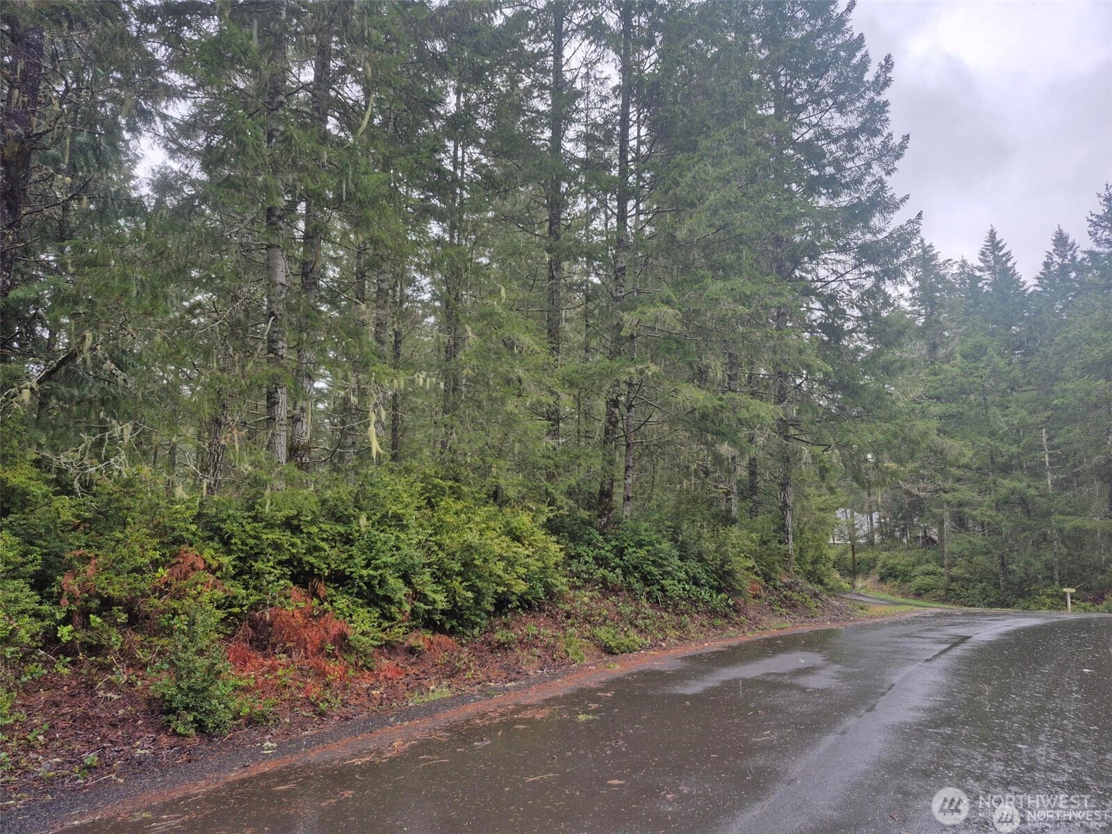 470 E Michelle Drive