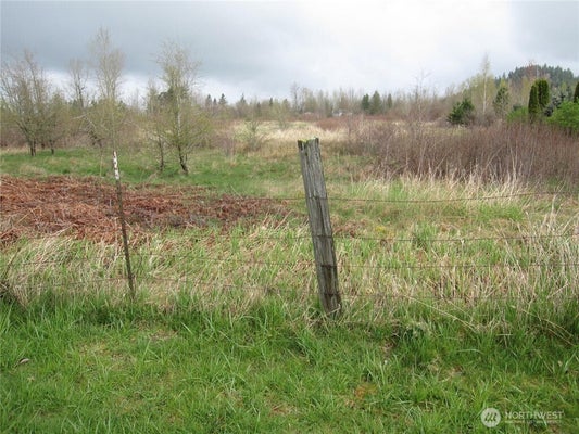 27008 SE 432ND ST, ENUMCLAW, WA 98022 - Image 79ad237dd9ed42ea4cbc4ffa23fea089/1578876097