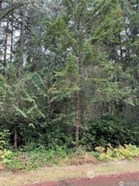 10508 Anchor Place Anderson Island WA 98303