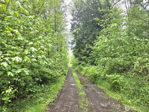 Photo of 36610 48th Avenue S, Roy, WA 98580 (MLS # 2528168)