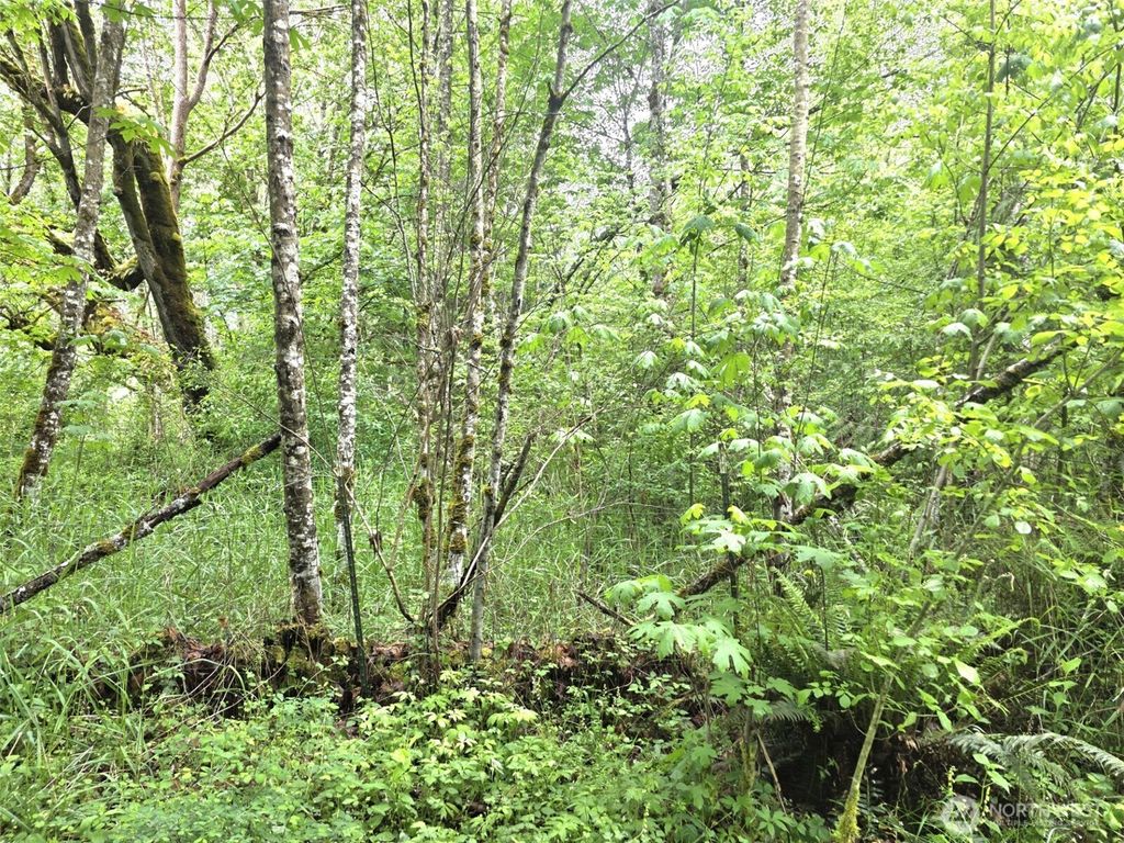 Photo of 36610 48th Avenue S, Roy, WA 98580 (MLS # 2528168)