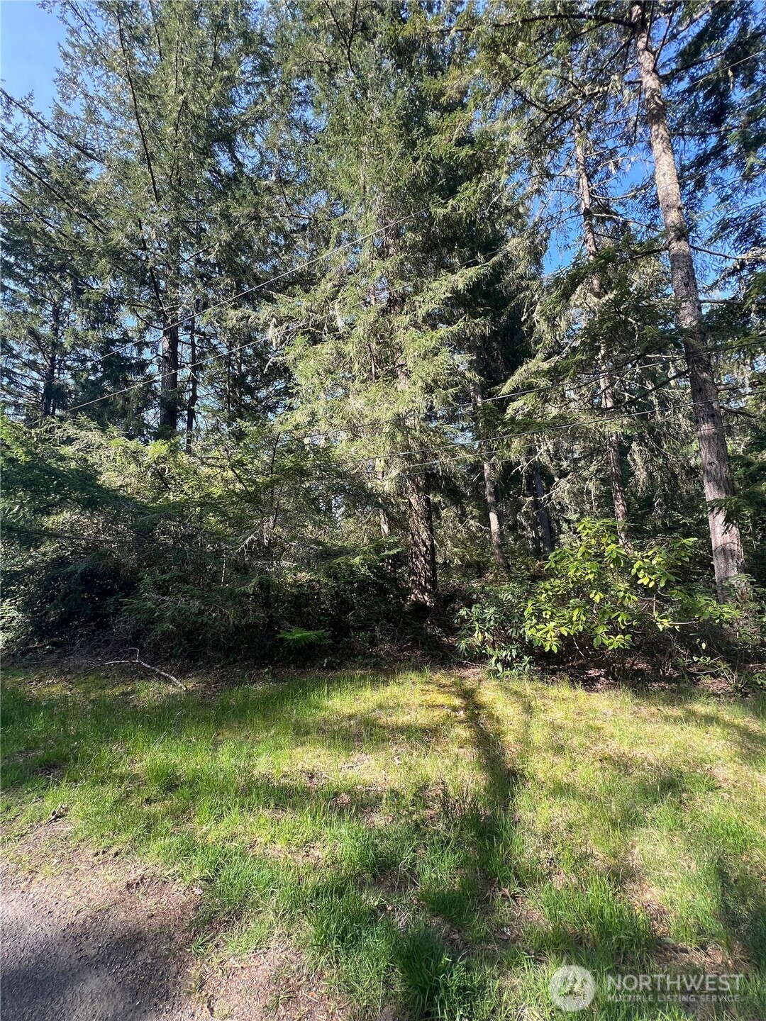 10702 Pioneer Drive