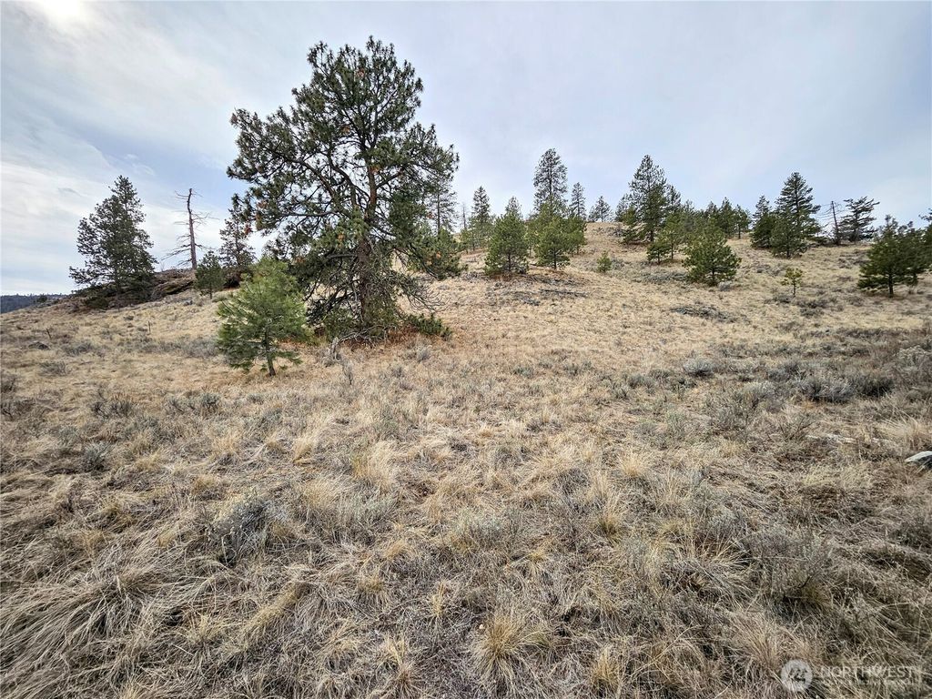 Photo of 1 TBD Badger Road, Tonasket, WA 98855 (MLS # 2489107)